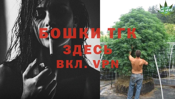 прущие грибы Верхнеуральск