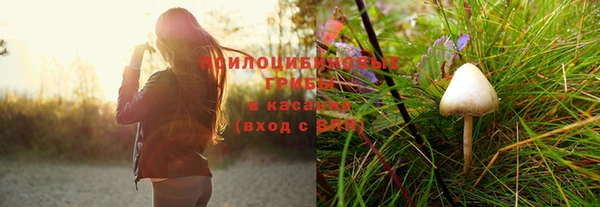 соль курить ск Бородино