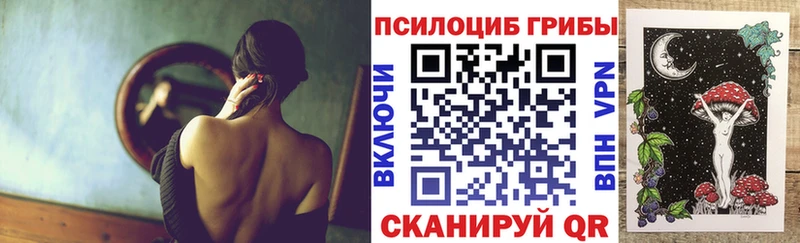 Галлюциногенные грибы мицелий  купить   Чулым 